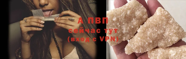 тгк Горняк