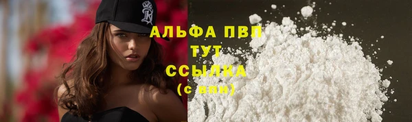 молекула духа Горно-Алтайск