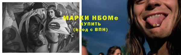 apvp Горнозаводск
