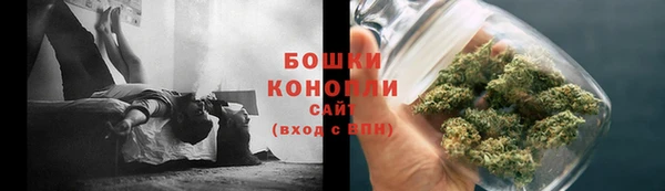 тгк Горняк