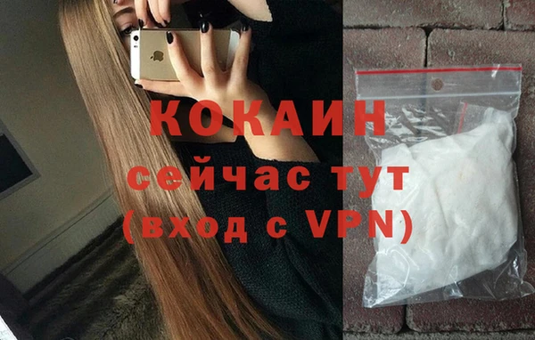 тгк Горняк