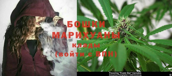apvp Горнозаводск