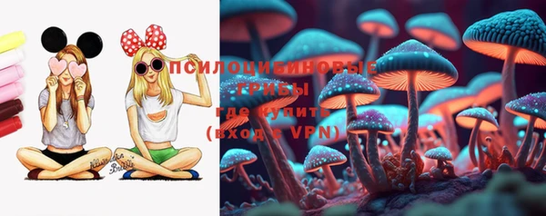 молекула духа Горно-Алтайск